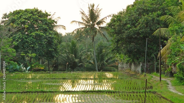 Obraz бали, индонезия, туризм