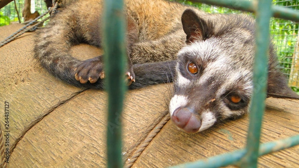 Obraz бали, индонезия, туризм