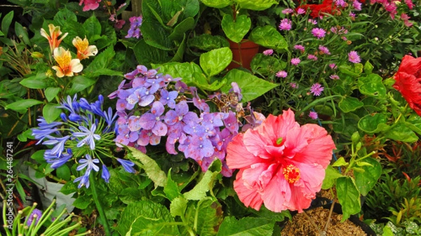 Obraz бали, индонезия, туризм