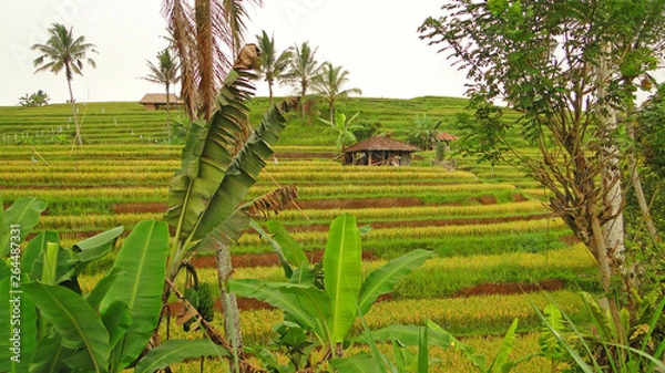 Obraz бали, индонезия, туризм