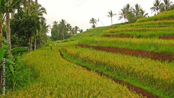 Obraz бали, индонезия, туризм
