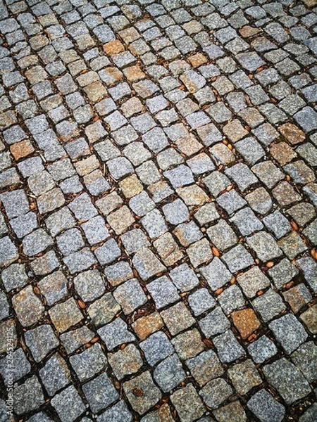 Fototapeta Kopfsteinpflaster in einem polnischen Dorf