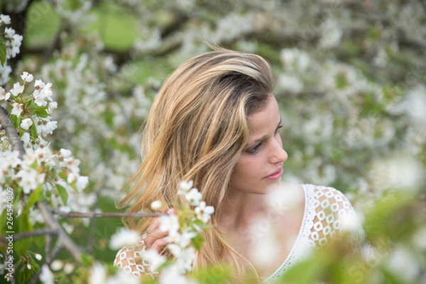 Fototapeta Portrait of a beautiful young woman model surrounded by the flowers of a cherry tree in spring