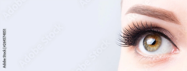 Fototapeta Eyelash lamination, extensions, microblading, tattoo, permanent, cosmetology, ophthalmology banner or background. Eye with long eyelashes, beautiful makeup and light brown eyebrow