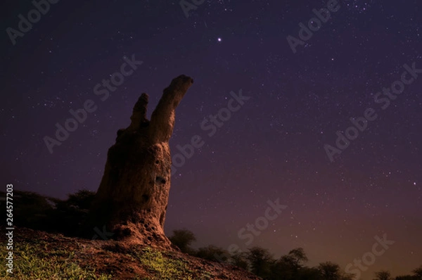 Fototapeta starry sky