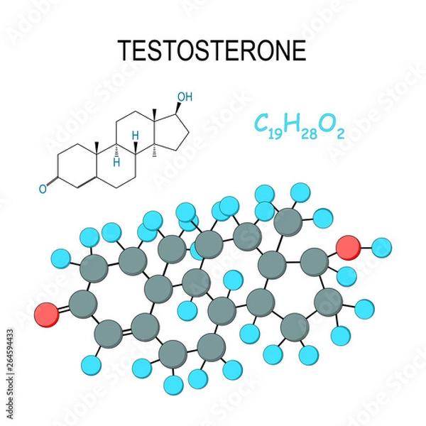 Fototapeta Testosterone. Chemical structural formula and model of molecule. C19H28O2