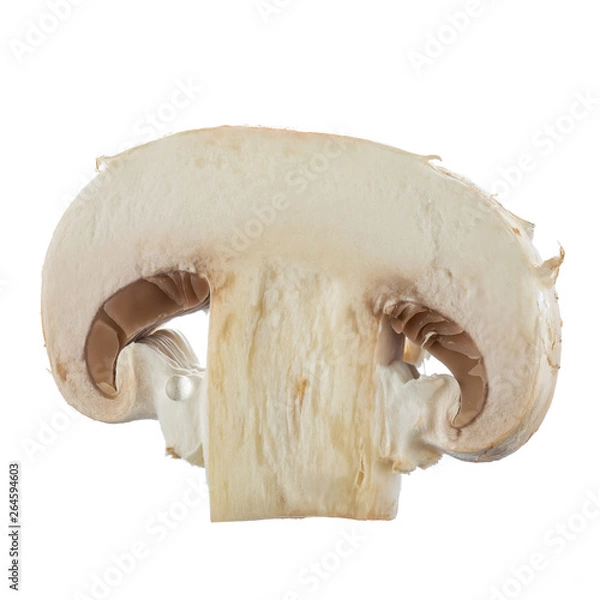 Fototapeta Fresh button mushrooms in a cut isolated on white. Close-up.