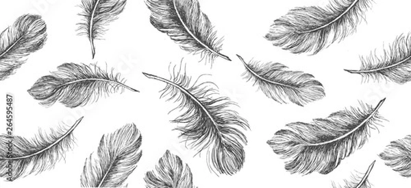 Fototapeta Hand drawn feather on white background 