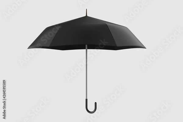 Fototapeta 3d rendering, the umbrella with white background