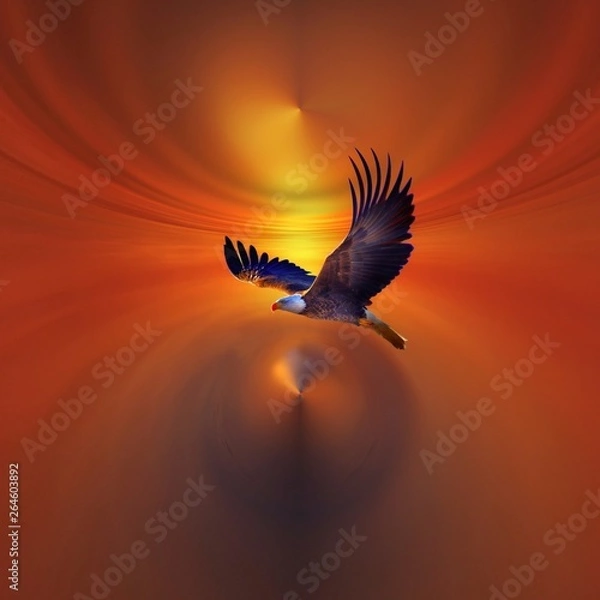 Obraz July 4th American bold eagle in the sky