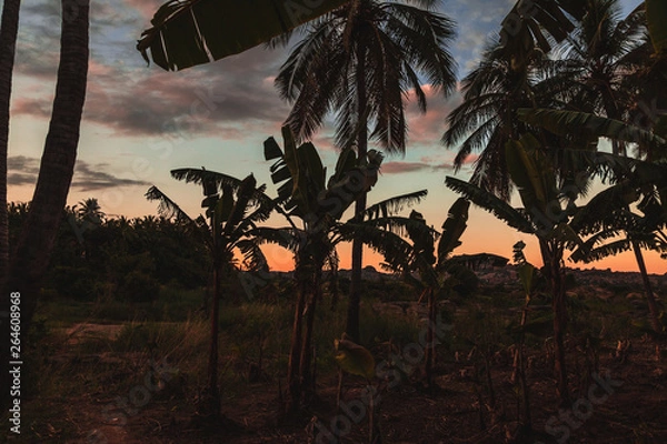 Fototapeta Moody  and dramatic tropical background