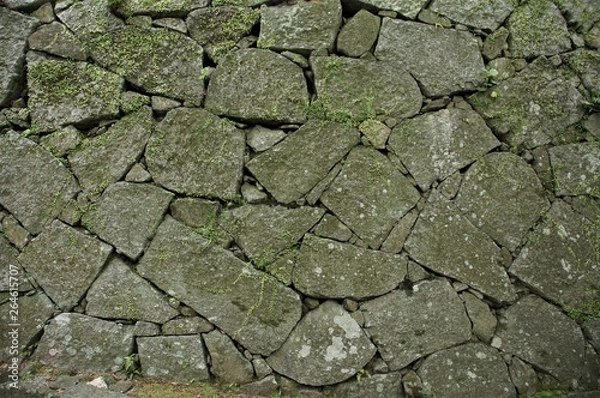 Obraz 長い年月を過ごした石垣