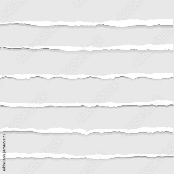 Obraz Ripped Paper Isolated