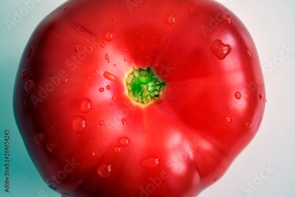 Obraz tomato