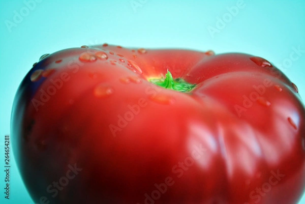 Obraz tomato