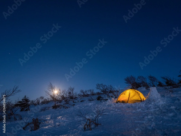 Fototapeta 月 テント 夜景