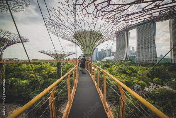 Obraz Gardens by the bay in Singapore.