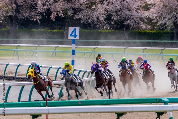 Fototapeta 競走馬