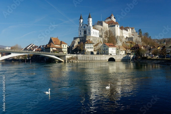 Obraz Château de Aarburg