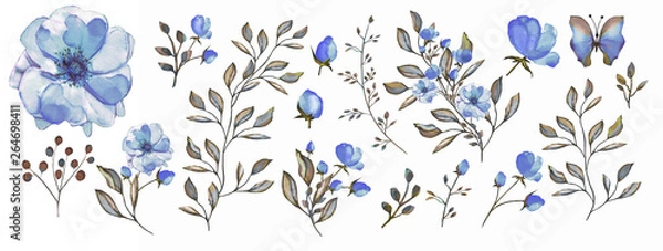 Obraz Watercolor illustration. Botanical collection.  Set: leaves, flowers,branches, herbs and other natural elements. Blue flowers.