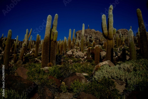 Fototapeta Isla inca wasi