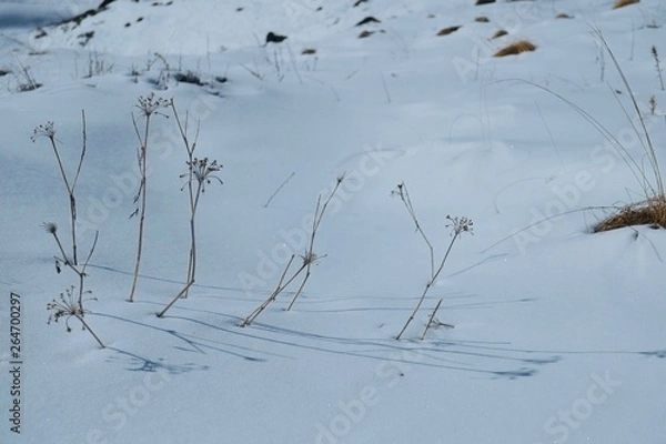 Fototapeta アンナプルナ内院ハイキングの雪山