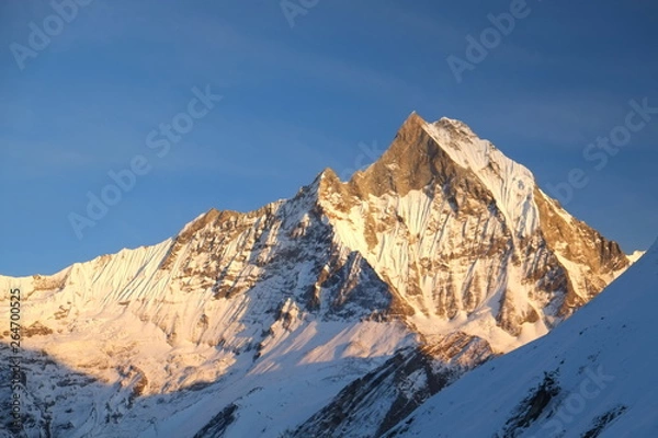Obraz アンナプルナ内院ハイキングの雪山