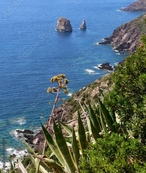 Obraz sardegna costa occidentale