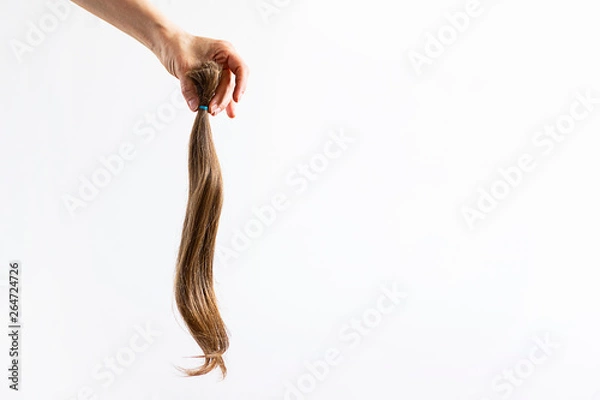 Fototapeta Hand holding long blond hair donation tightened with ribbon ponio for cancer patient on white background. Natural material for making wig. Horizontal with copy space.