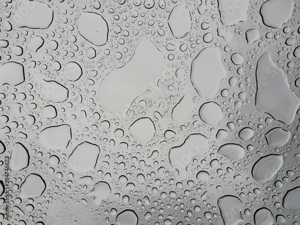 Fototapeta Gotículas de chuva