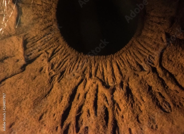 Fototapeta close-up images of human eye, iris and cornea from slit lamp biomicroscope for eye diagnosis.