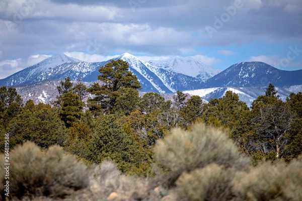 Obraz Snow-covered Peaks