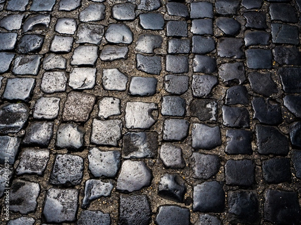 Obraz adoquines - suelo piedra