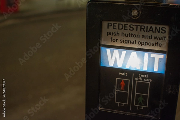 Obraz ロンドンの横断歩道