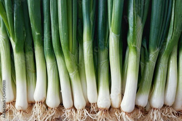 Obraz Pełne Ujęcie Klatek Dymków