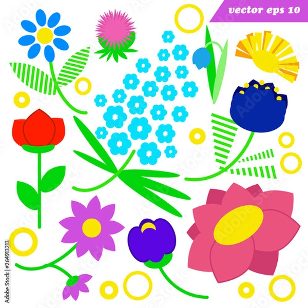 Fototapeta set of simple wild cute  field flowers