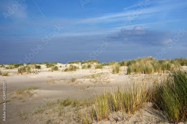Obraz view to the north sea beach, island langeoog