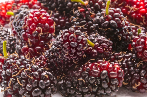 Fototapeta Close up mulberry