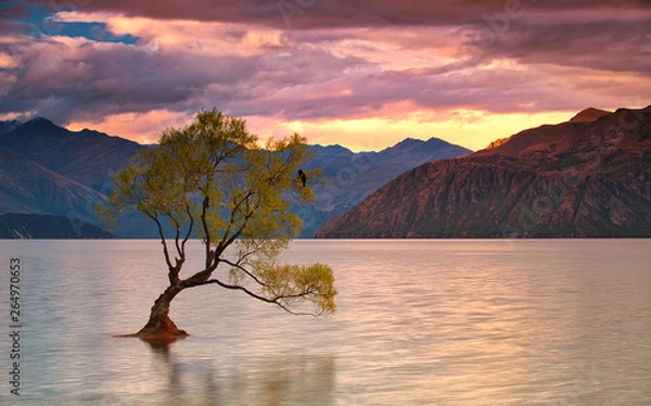 Fototapeta Lake Wanaka - Südinsel, Neuseeland