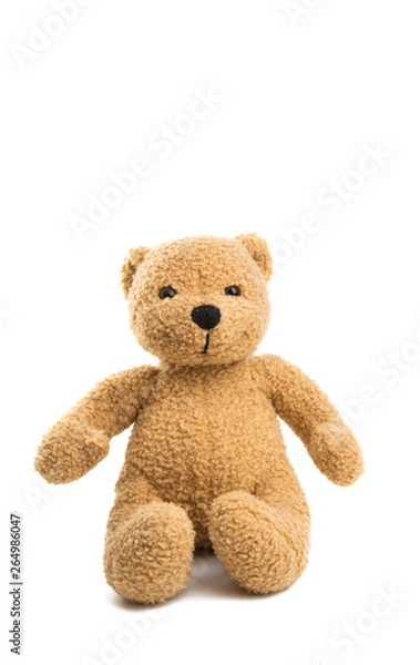 Obraz soft bear isolated