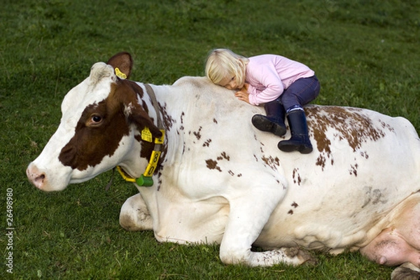 Obraz Kind auf Kuh