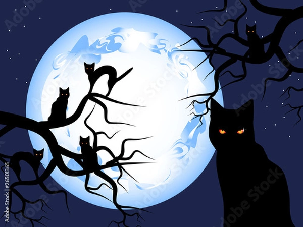 Obraz Mysterious-cats