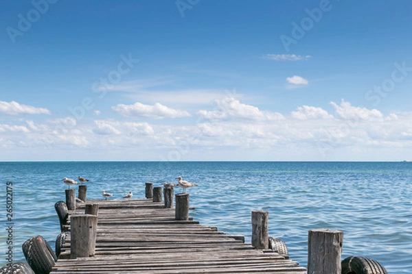 Fototapeta Seagulls rest on post in jetty with sea horizon and clouds