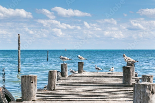 Fototapeta Seagulls rest on post in pier with sea horizon and clouds