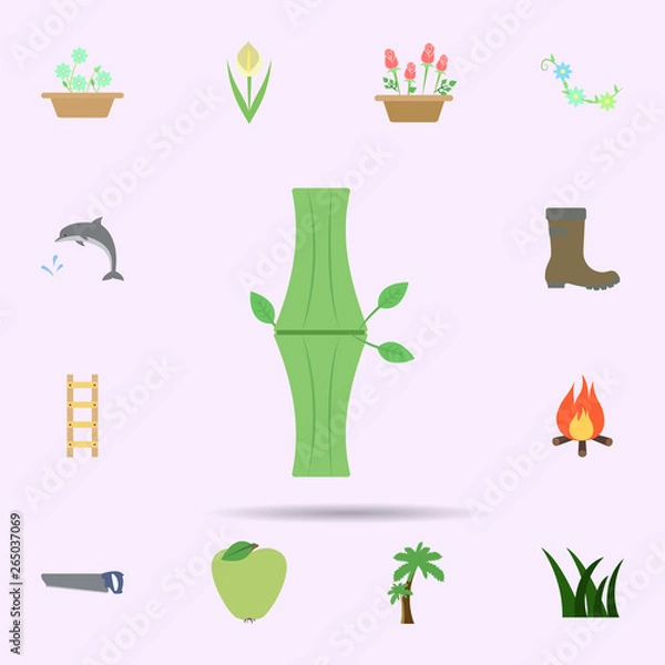 Fototapeta Bamboo colored icon. Universal set of nature for website design and development, app development