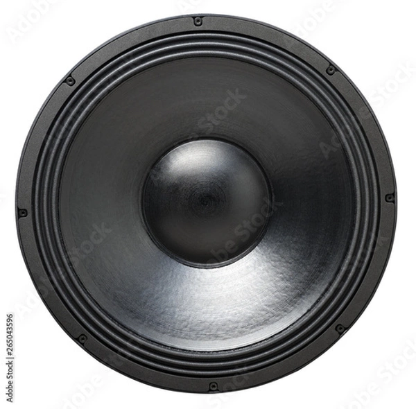 Obraz Professional subwoofer speaker 18 inches