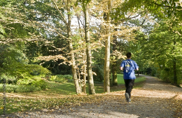 Obraz jogging in the park