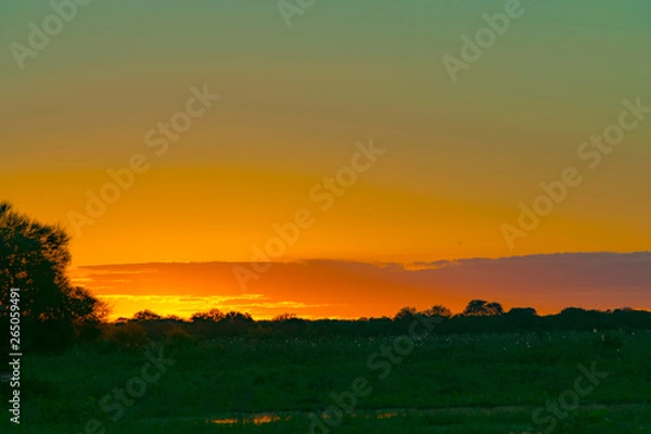 Obraz Puesta de Sol de Campo