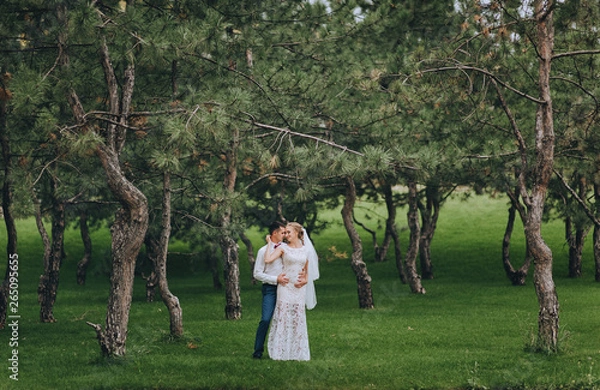 Fototapeta Happy newlyweds tenderly embracing in the forest against the background of green grass and pines. Wedding portrait of a stylish groom in a shirt and a cute curly bride in a white dress.