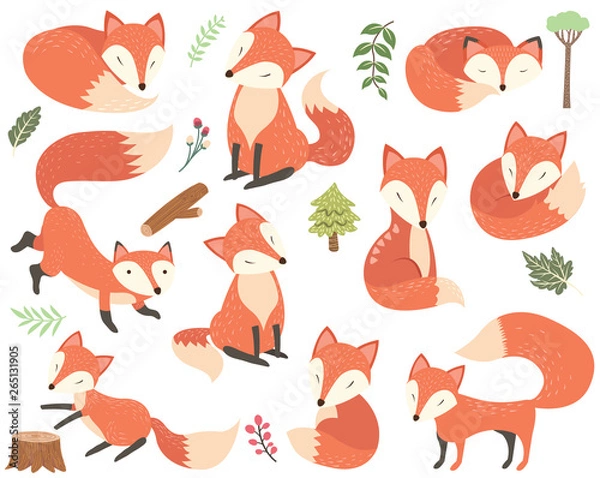 Obraz Woodland Animal Fox Elements